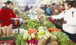 河南菜市场爆料视频最新,新鲜食材与人间烟火气交织的市井生活